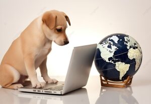 Teaching Dogs to Use Laptops