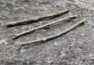 Make your own magic wand from a twig