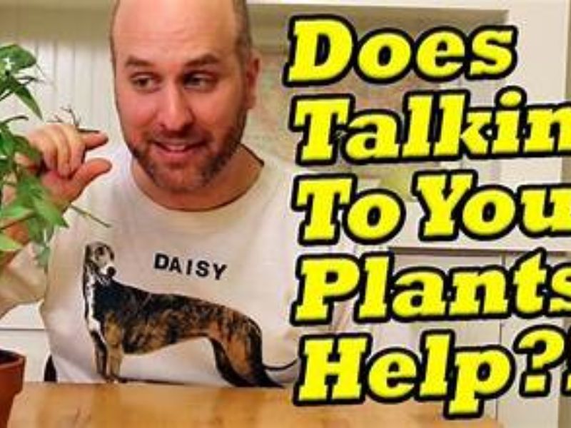 The Secret Benefits of Talking to Your Plants