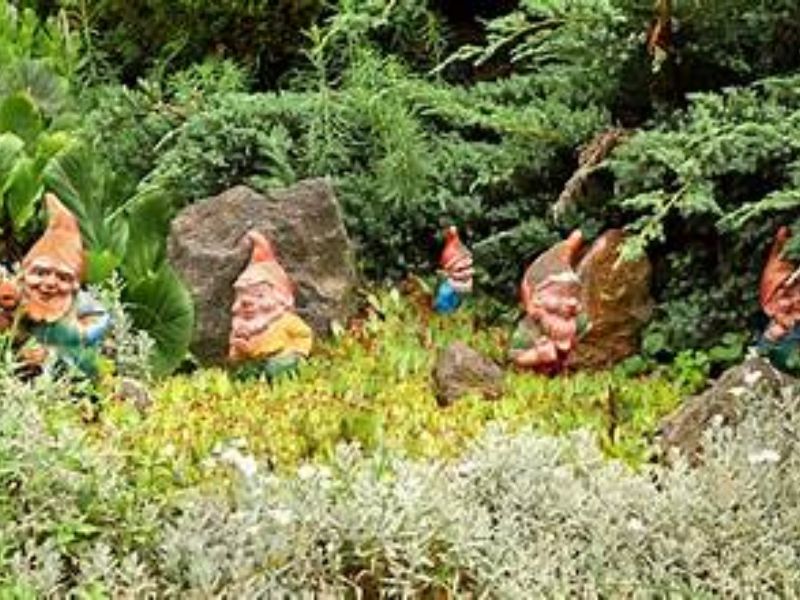 The Secret Life of Garden Gnomes