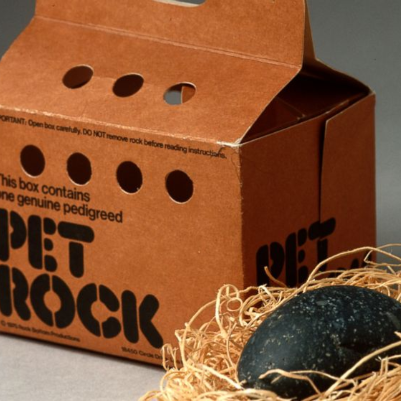 turn-your-pet-rock-into-a-financial-advisor