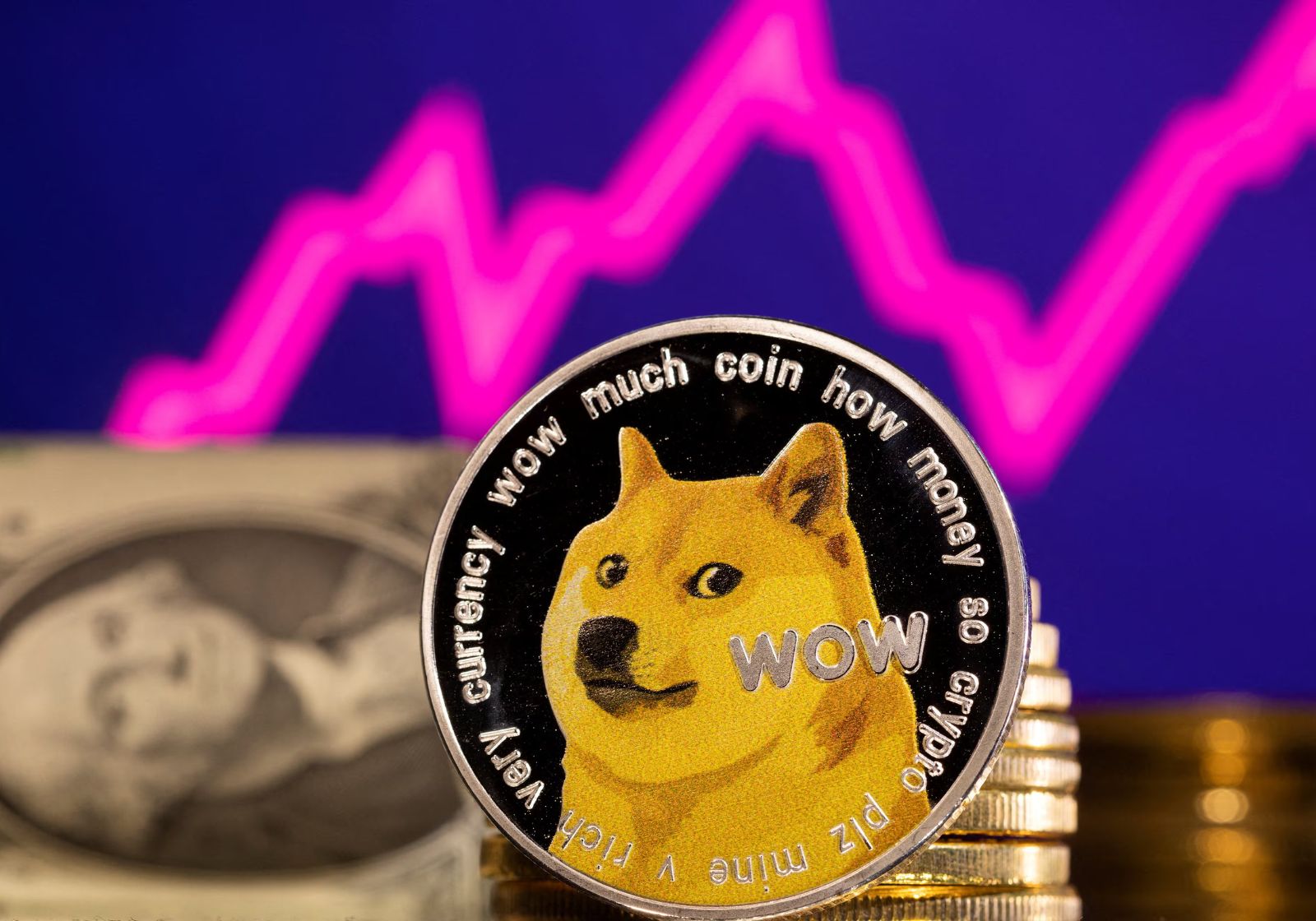 Is Doge Joke or Jackpot?