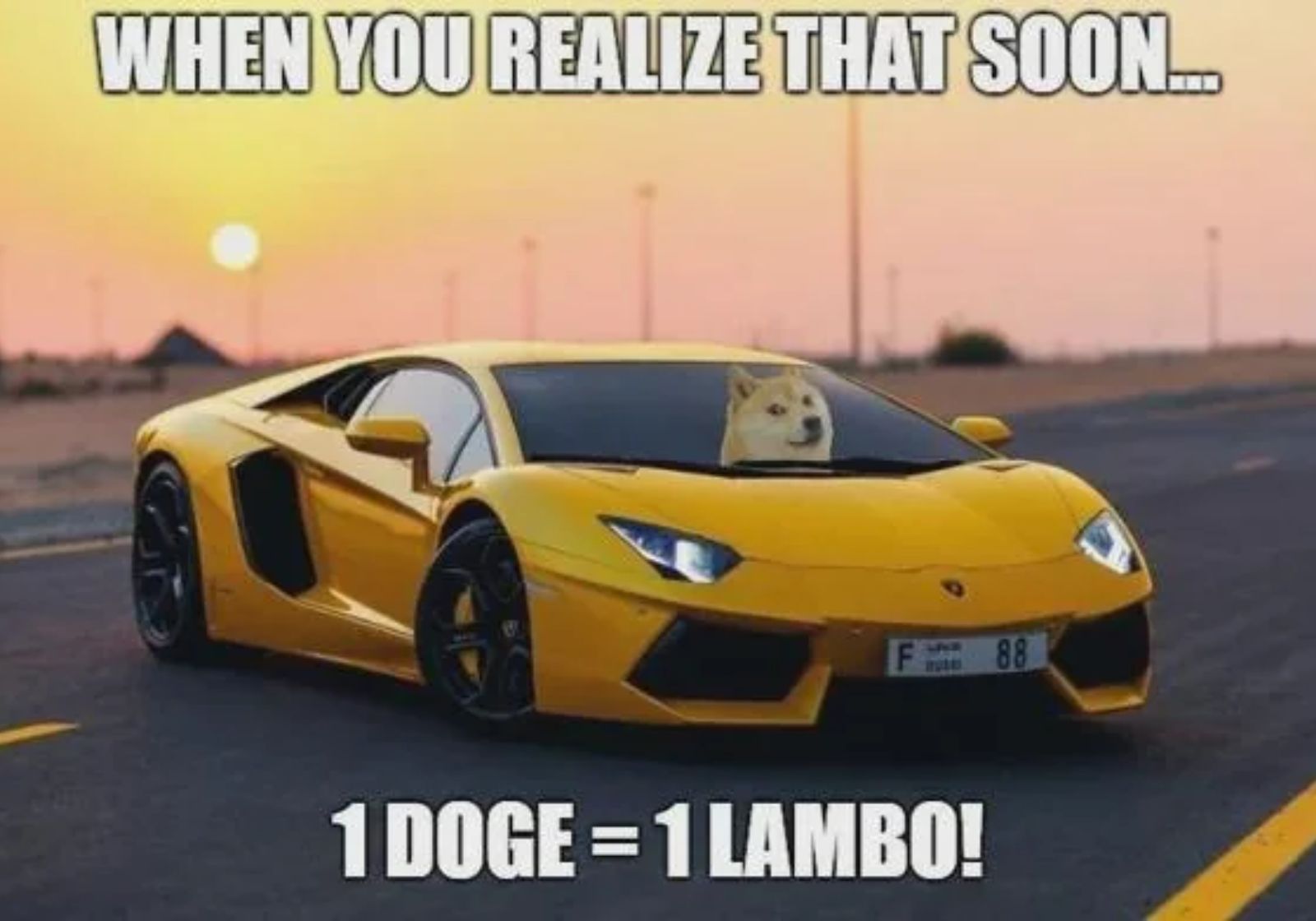 Can You Actually Buy a Lambo with Dogecoin? We Test It Out!